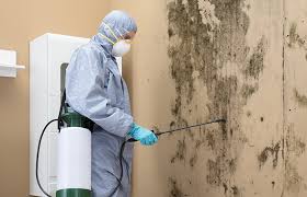 Best Mold Prevention Services  in Aurora, IL